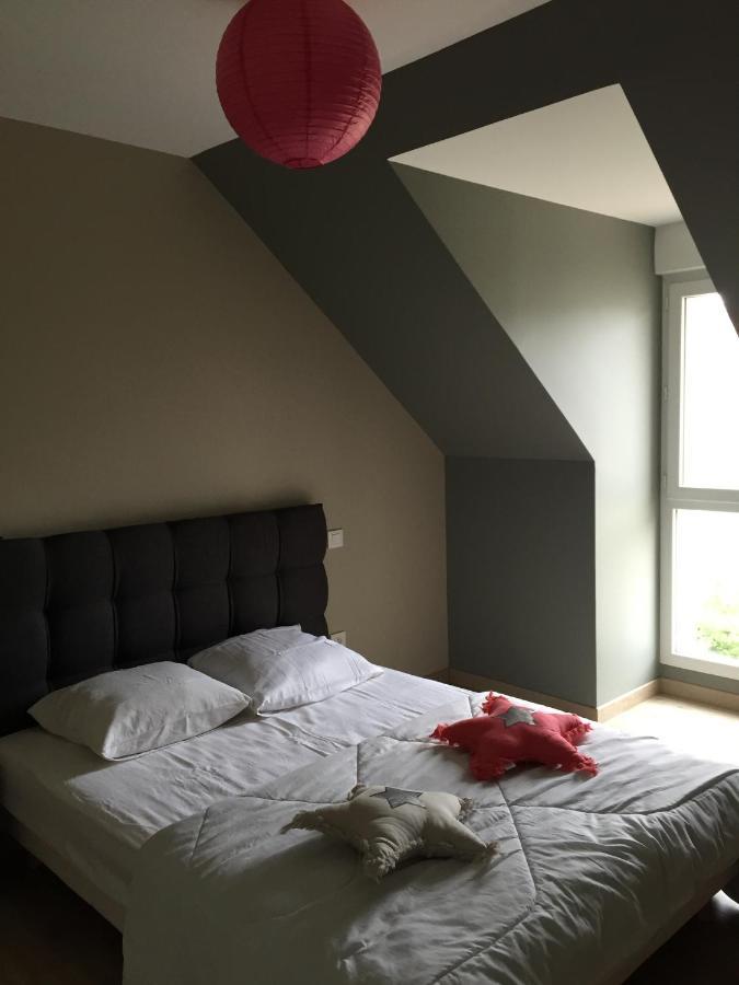 Fetuque Bleue A Merlimont